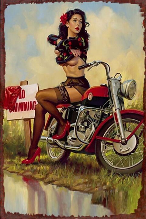 30 X 20 Plaque Acier vintage D�co Moto Indian 03 6 Sain-Bel (69)