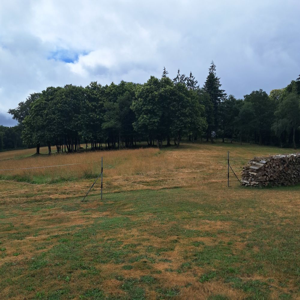   Pension chevaux 
