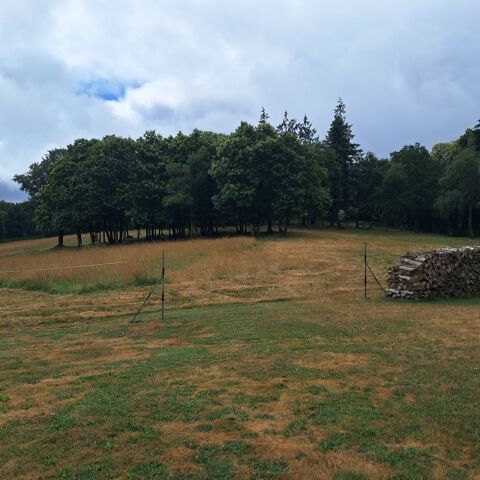 Pension chevaux 0 56310 Guern