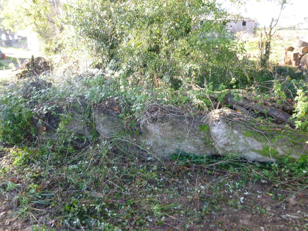 Bois de chauffage Jardin