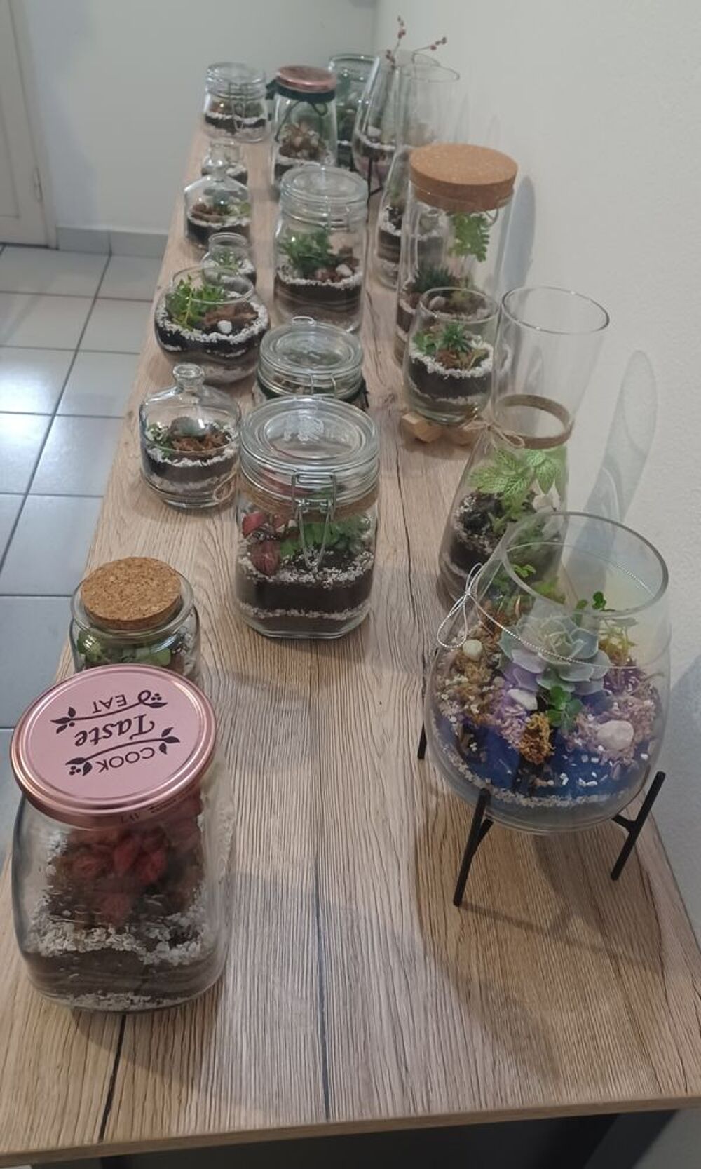 Id&eacute;es cadeaux Terrariums Plantes Décoration
