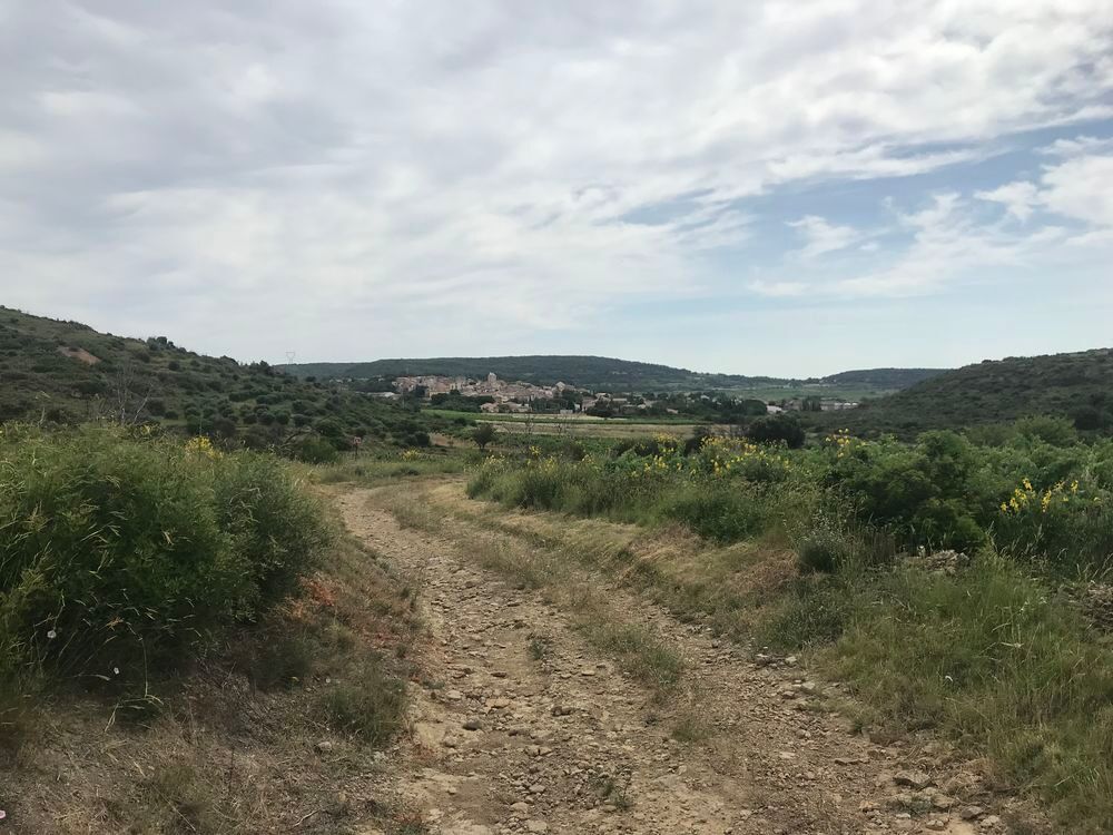 Vente Terrain Terrain de garrigue ou de loisirs proche de Néffiès Neffiès
