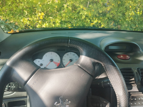 Peugeot 206 1.4 HDi 70ch BLUE LION Géné