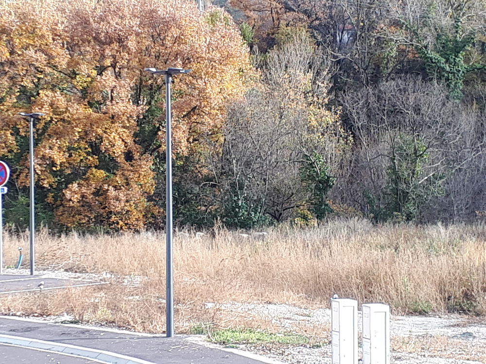 Vente Terrain Très beau terrain à bâtir 618m2, Pyrénées Orientales Ria-sirach