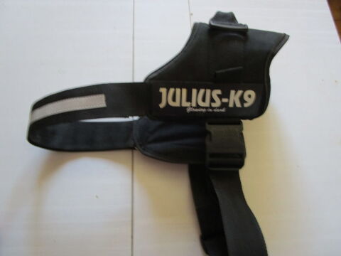 dossard  JULIUS K1 pour gros chien 30 Chanteloup-en-Brie (77)
