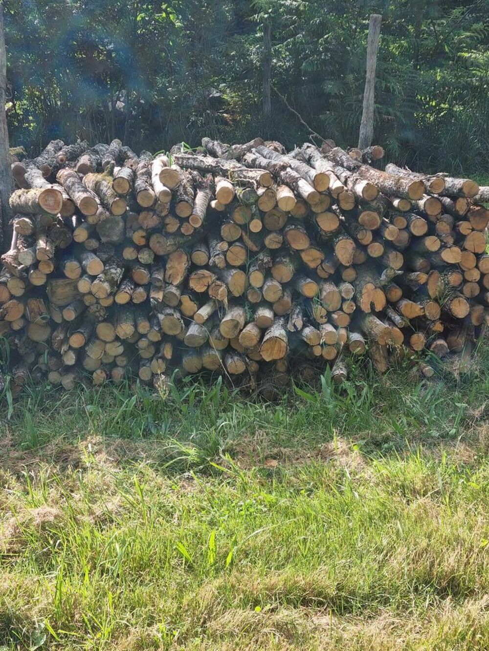 Bois de chauffage Jardin