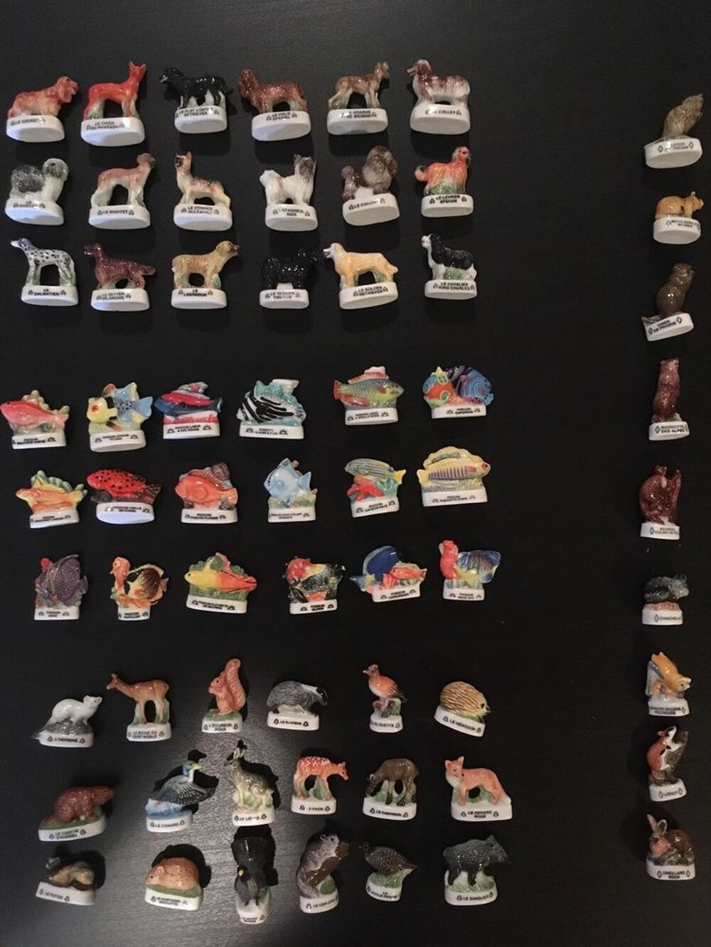 Collection de f&egrave;ves, &eacute;dition Atlas. 