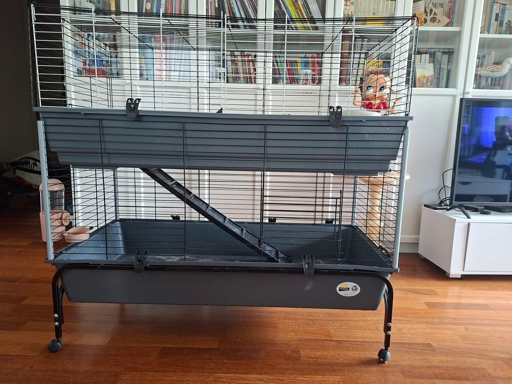   Grande cage lapin, rongeur, double avec étage, accessoires e 