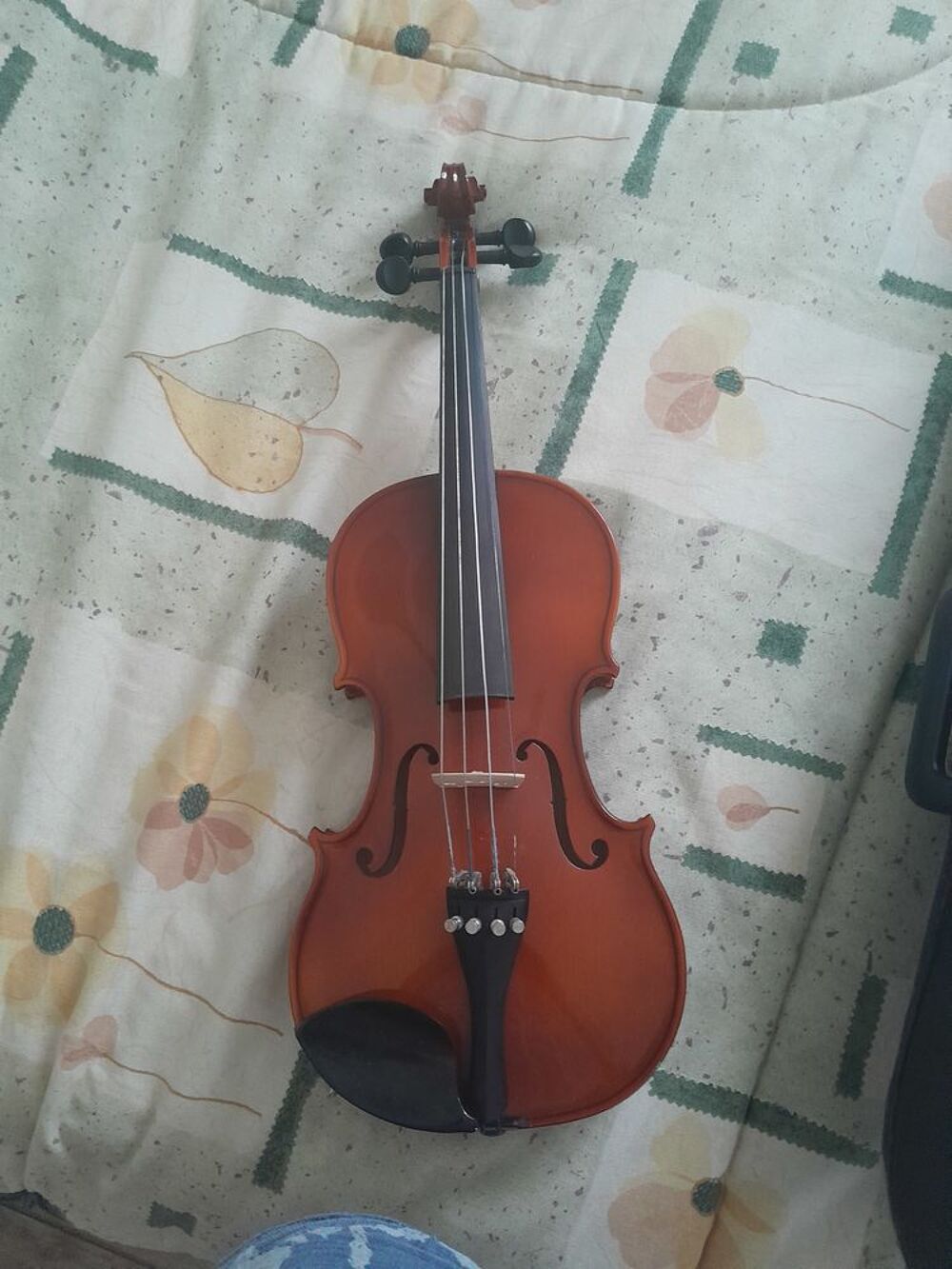 Violon Instruments de musique