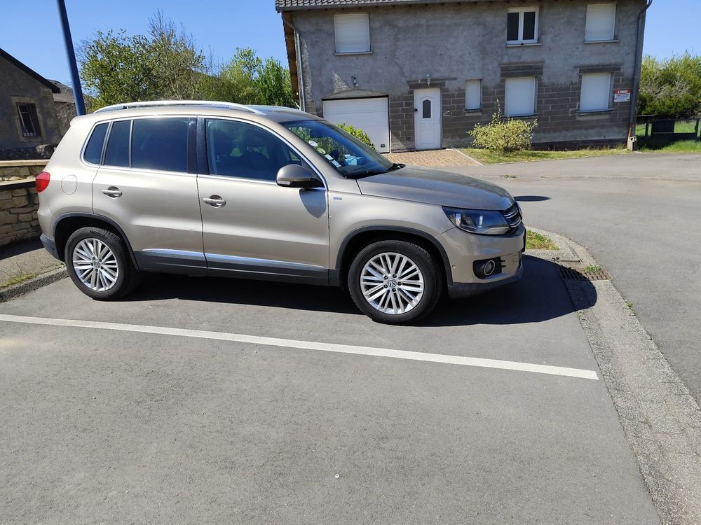 Tiguan 2.0 TDI 110 FAP BlueMotion Technology Cup 2014 occasion 57655 Boulange