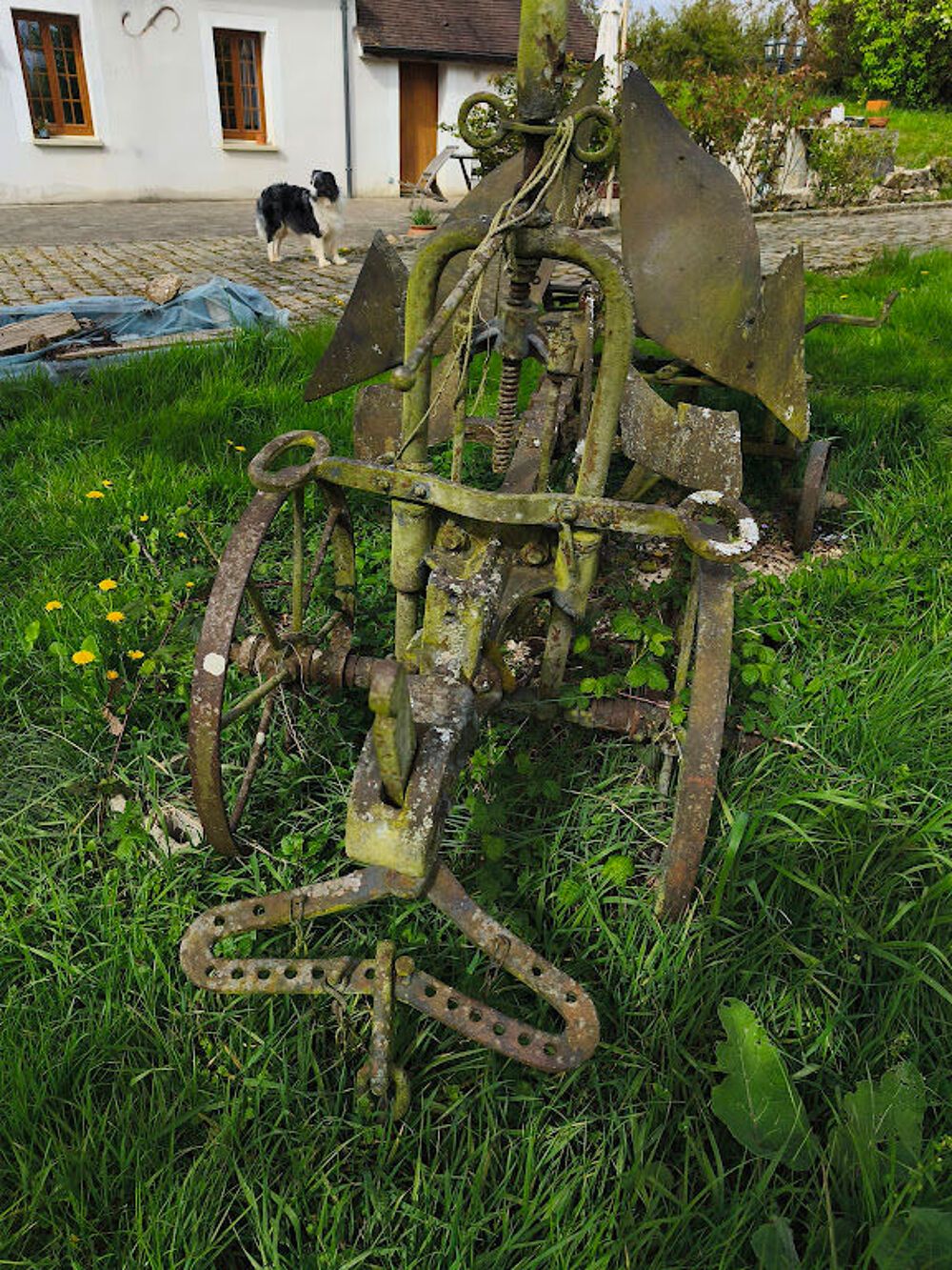 Charrue ancienne D�coration