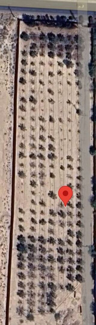  Terrain � vendre 10000 m� Marrakech, maroc