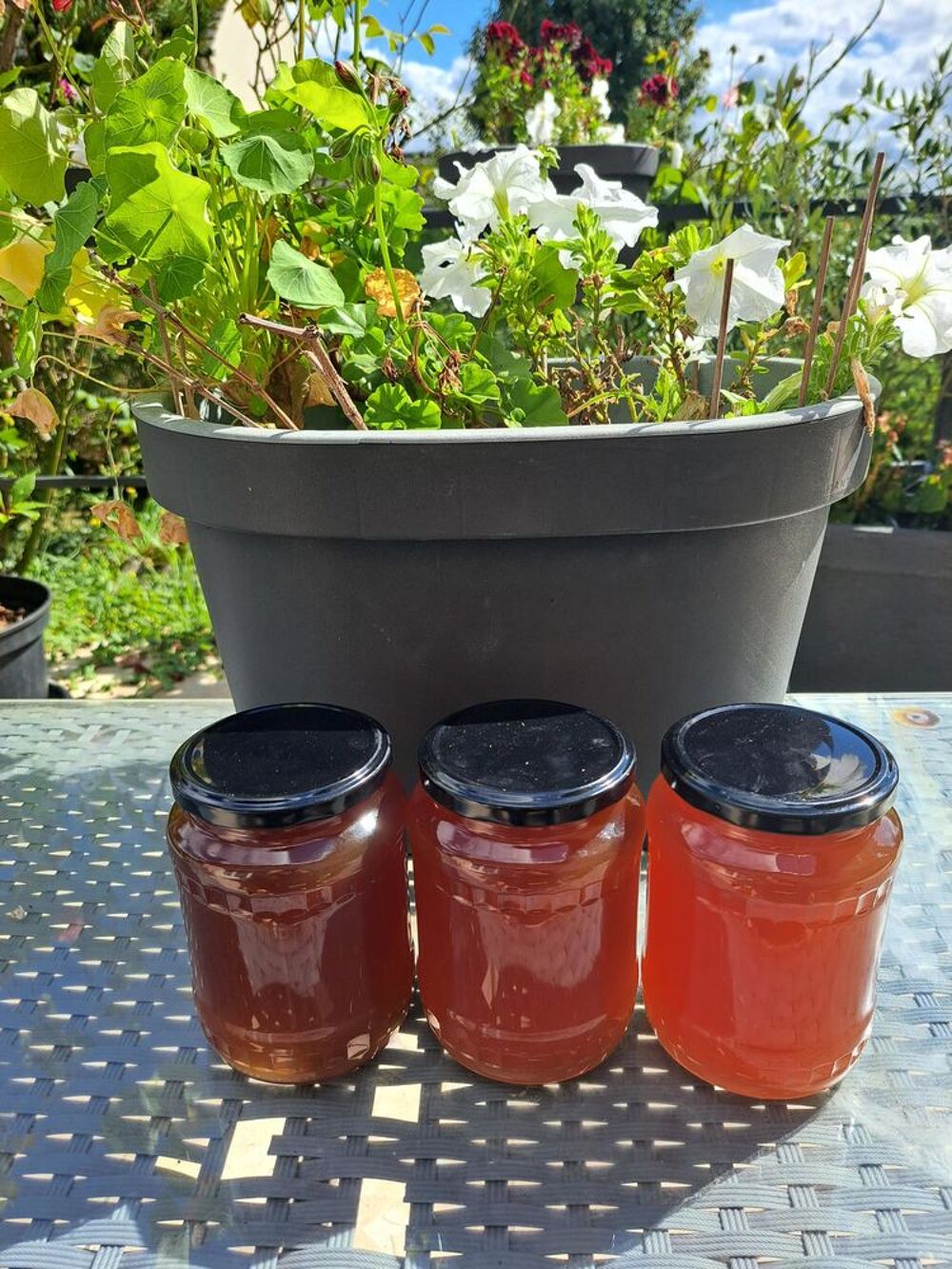 MIELS EN PRODUCTION LIMIT&Eacute;E POTS 1 KG Jardin