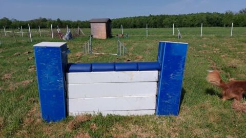 Mur animo concept
300 33710 Prignac-et-marcamps