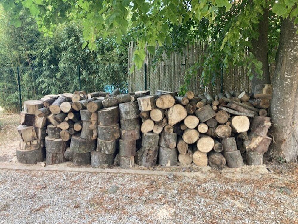 B&ucirc;ches de bois coup&eacute;es Bricolage