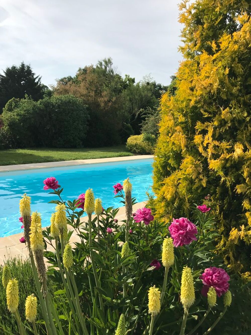 Vente Maison Longère ancienne sur 1 ha clos de murs-piscine chauffée Louestault