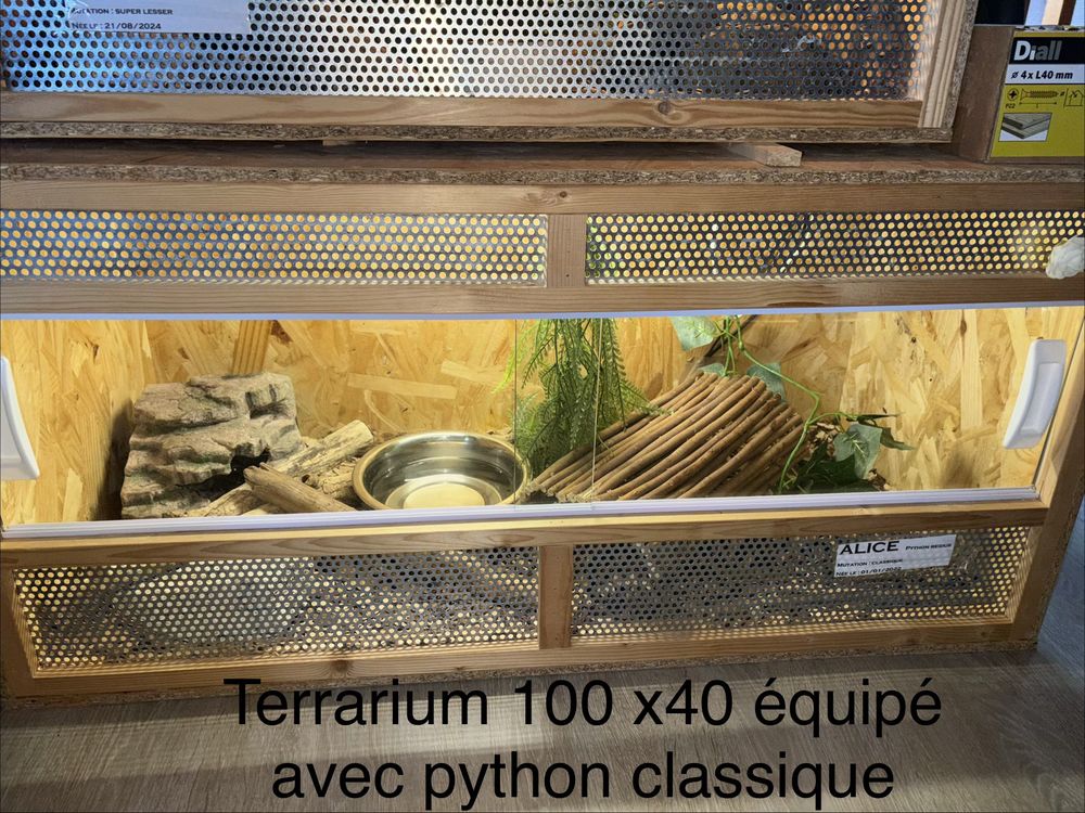 terrarium reptiles Meubles