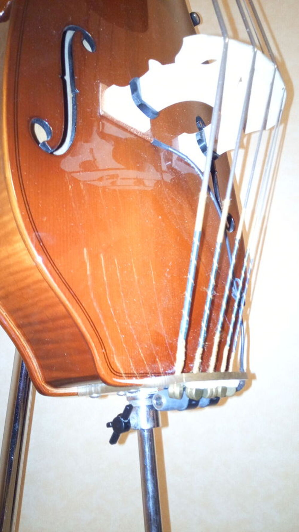 Contrebasse Eminence 5 Cordes Instruments de musique