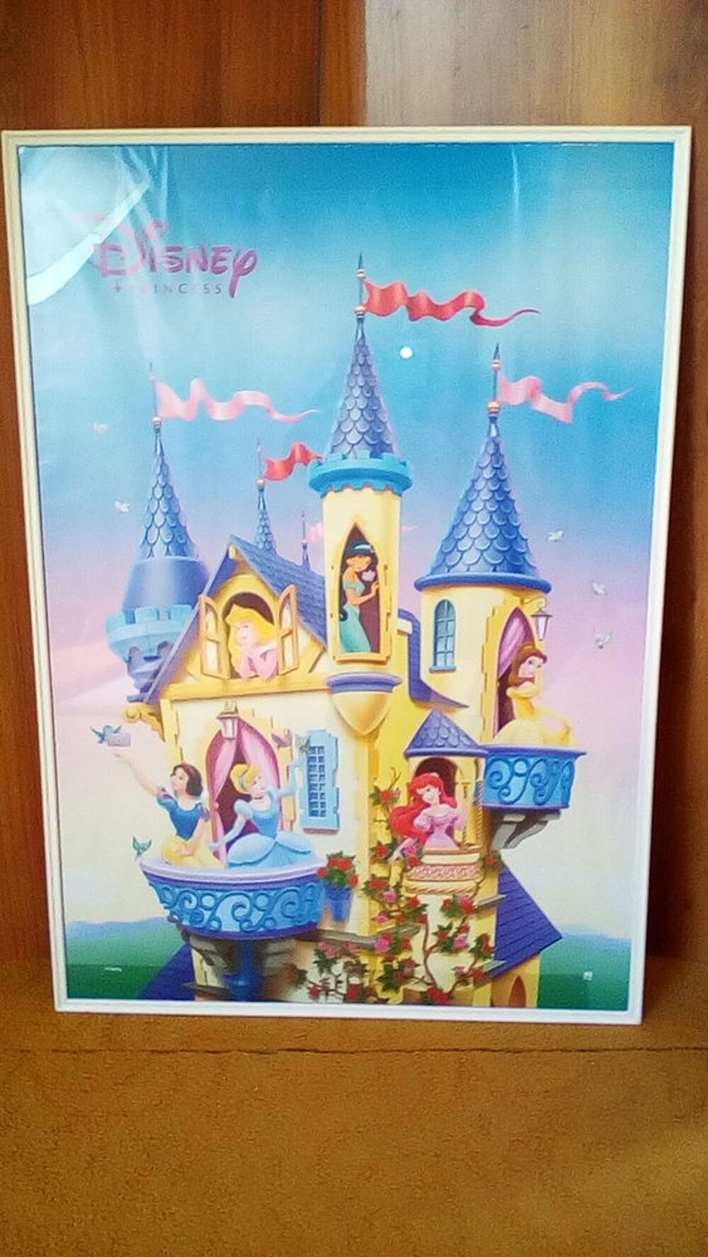 TABLEAU PRINCESSES DISNEY Décoration