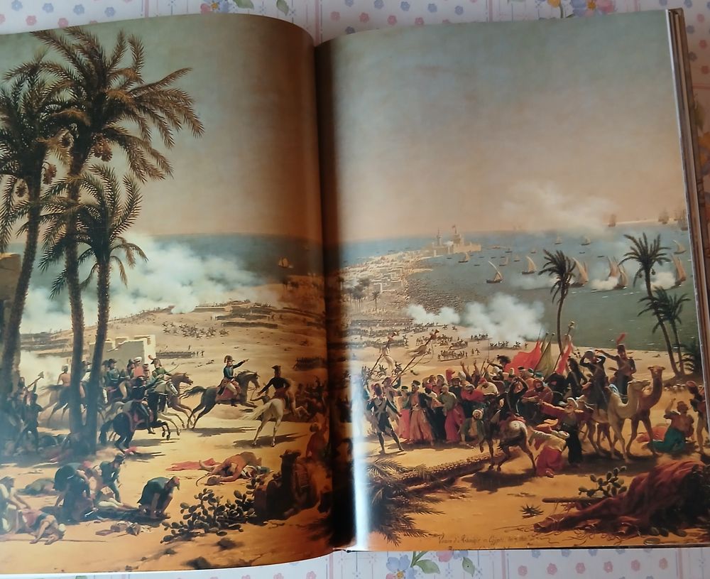 livre sur Napol&eacute;on grand format 35 par 25 cm Livres et BD
