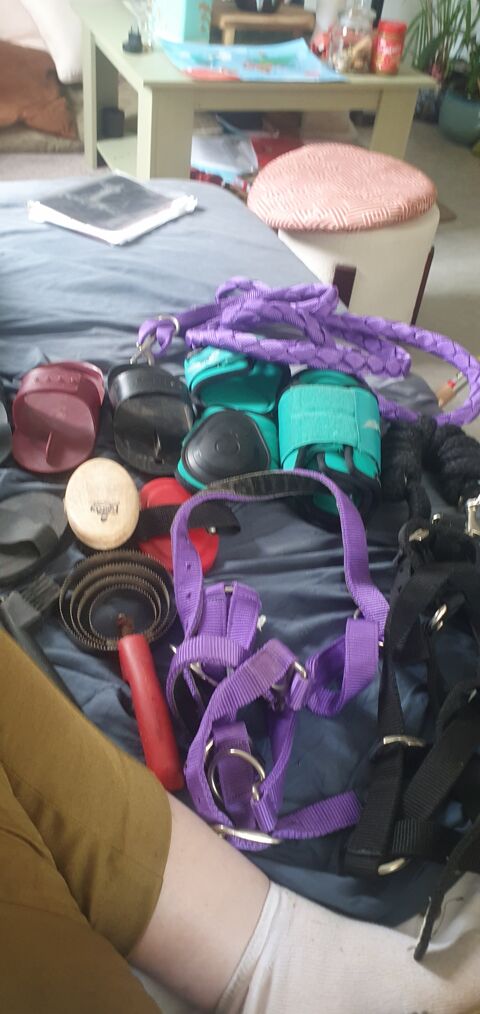 Je suis Audrey Invalide mes affaires �quitation 20 Dax (40)