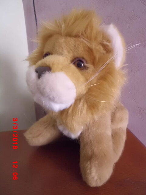 LION AUX NATIONS 15 Oignies (62)