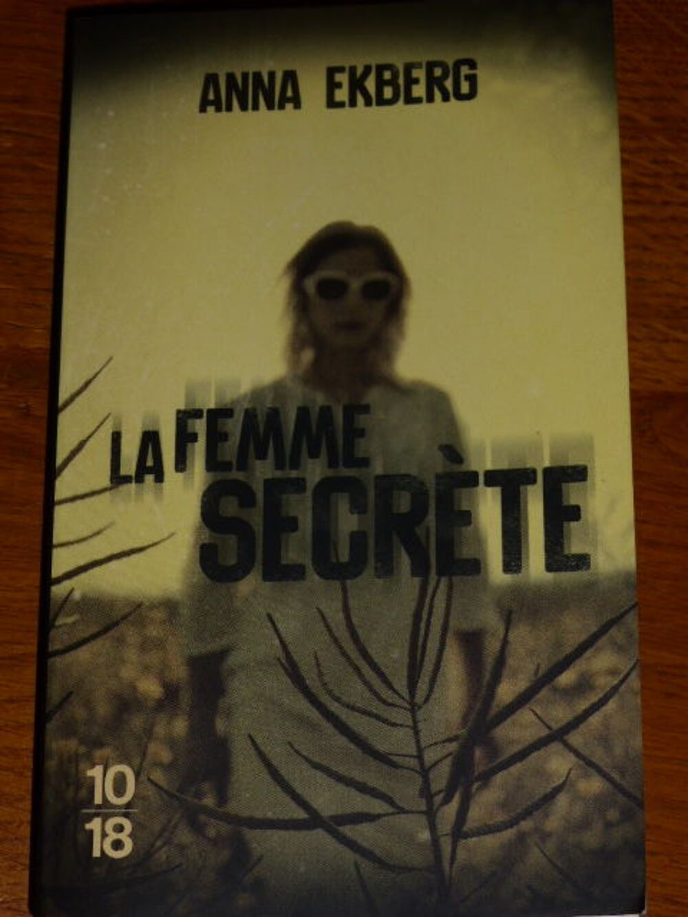 La femme secr&egrave;te Anna EKBERG Livres et BD