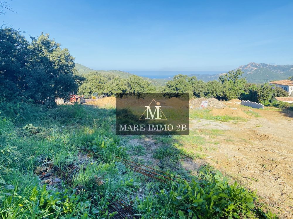 Vente Terrain Terrain à bâtir de 2025m² Calvi