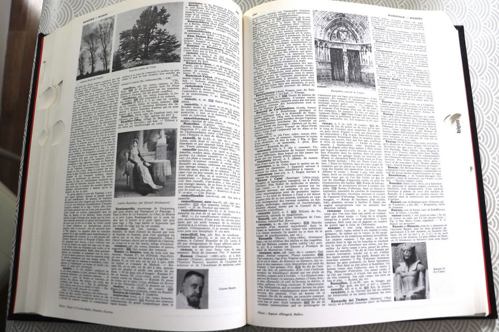 Dictionnaires encyclop&eacute;diques QUILLET ann&eacute;e 1977 Livres et BD