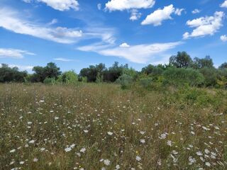  Terrain � vendre 220 m�