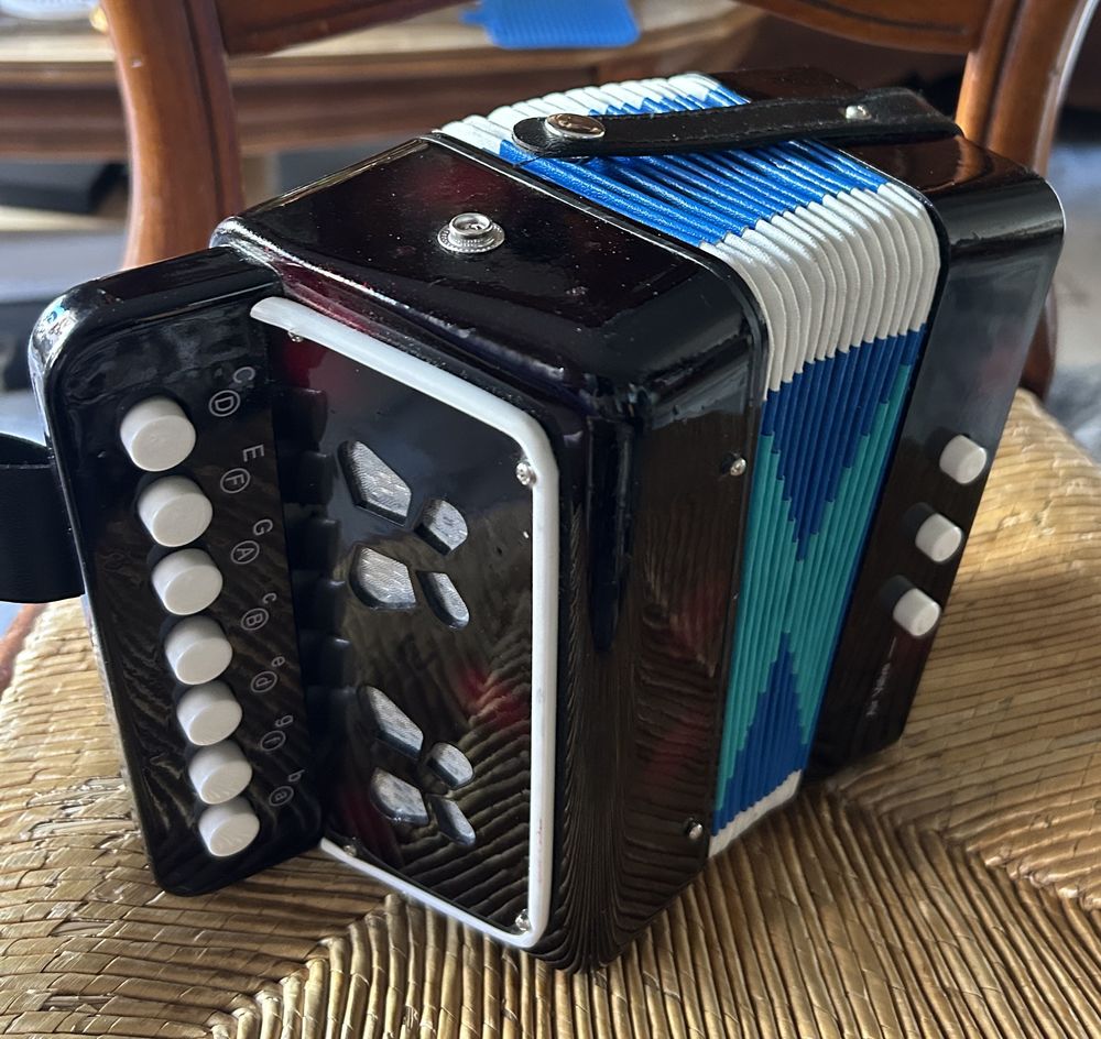 Accord&eacute;on enfant Jeux / jouets