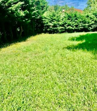  Propri�t�/ch�teau � vendre 9 pi�ces 300 m�