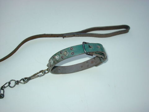 Laisse + collier pour chien
14 18390 Saint-germain-du-puy