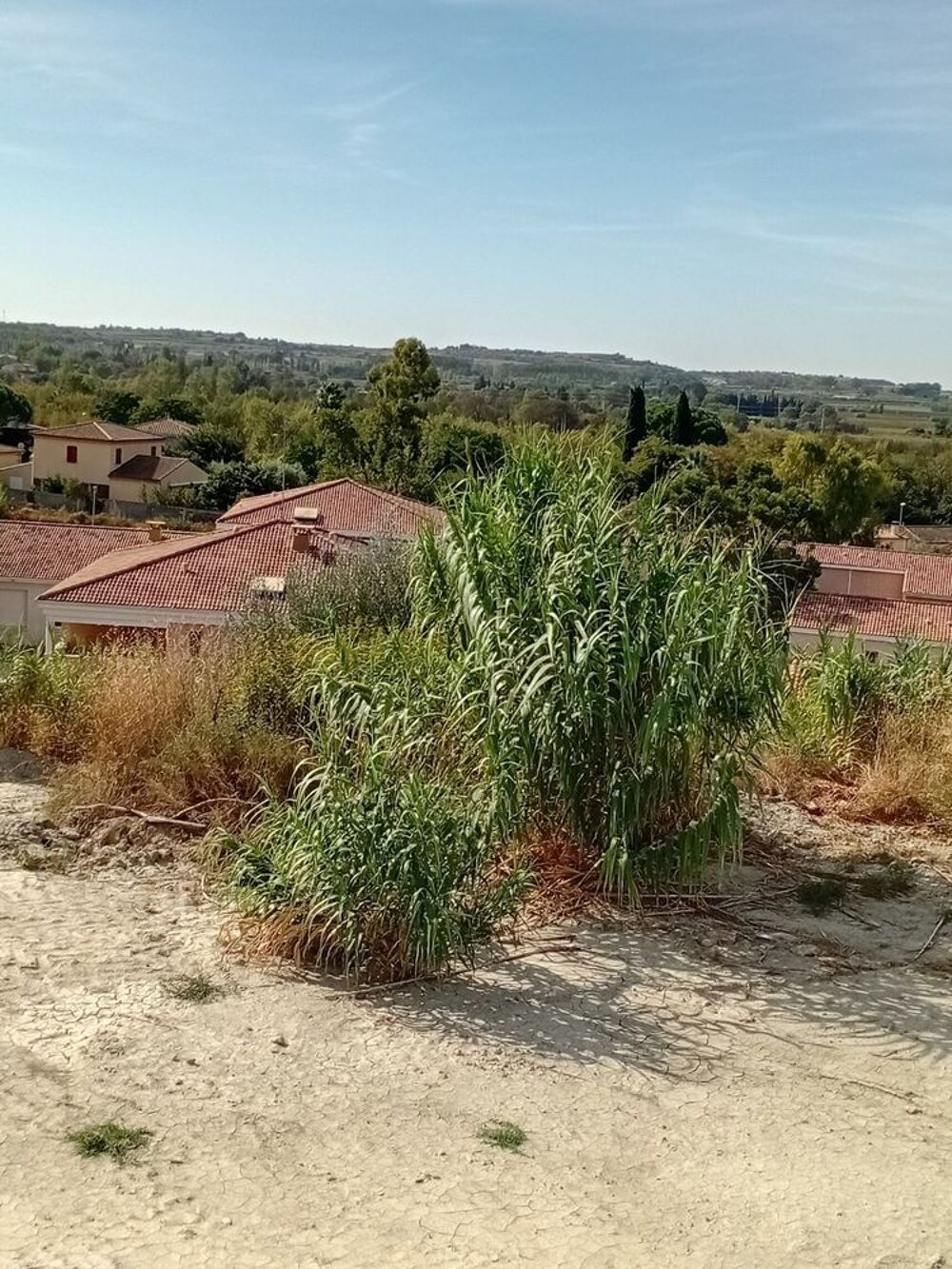 Vente Terrain MAGNIFIQUE TERRAIN Paulhan