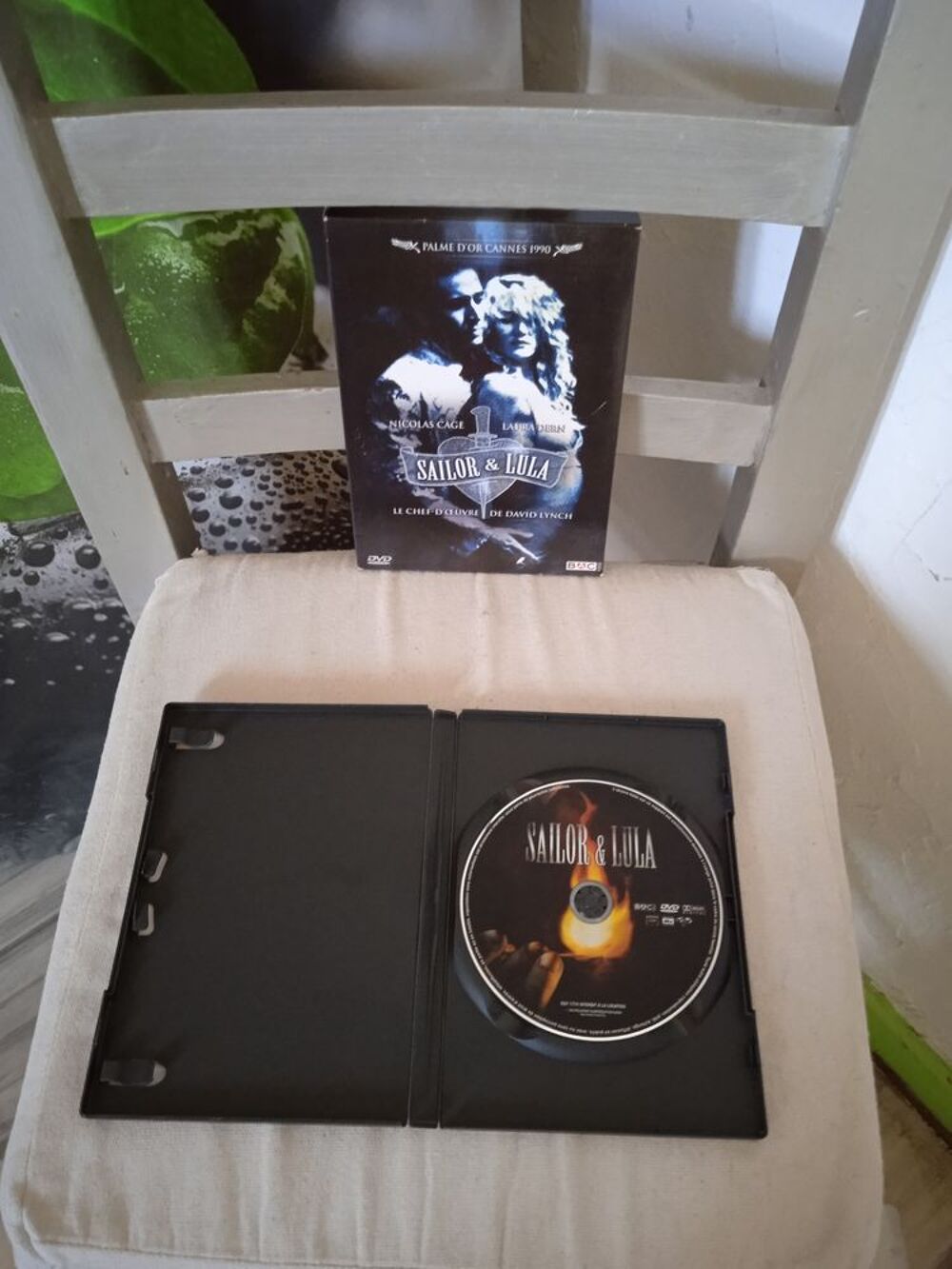 DVD Sailor et Lula
2010 DVD et blu-ray