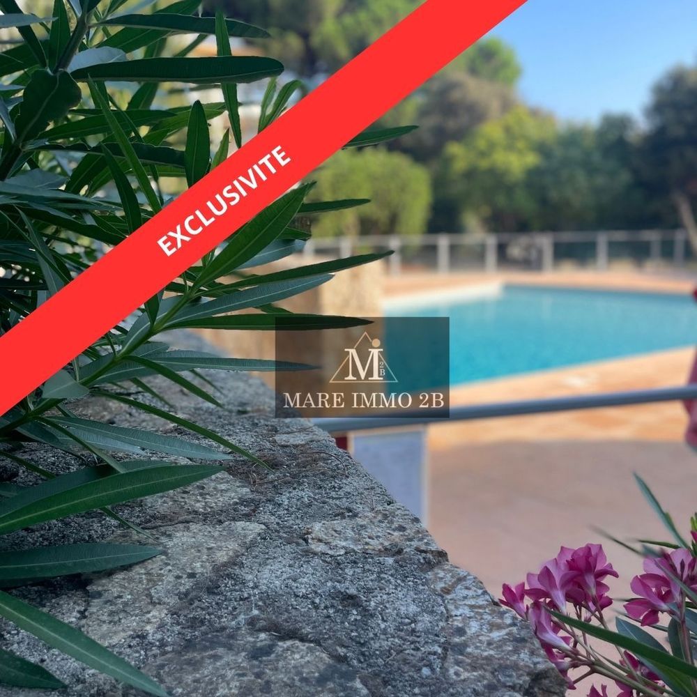 Vente Appartement Appartement d'exception avec terrasse et vue dégagée Calvi