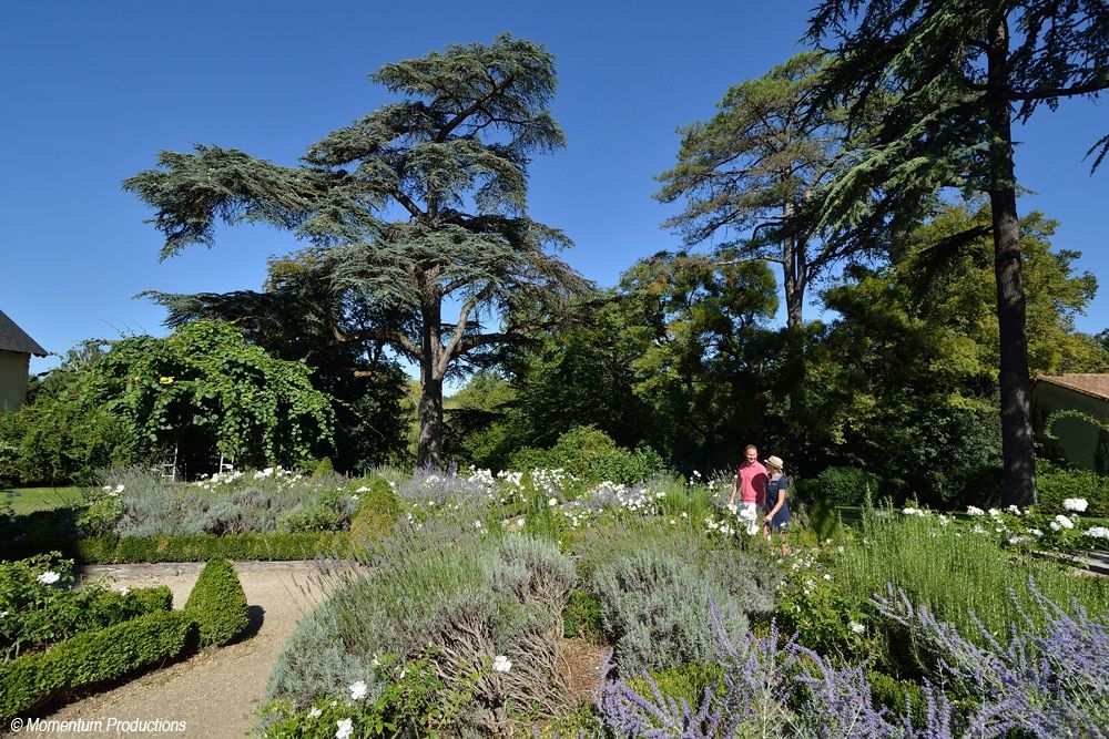 PASS 4 parcs Vall&eacute;e Singes Cormenier Parc Belle, D&eacute;fiPlanet' Billetterie