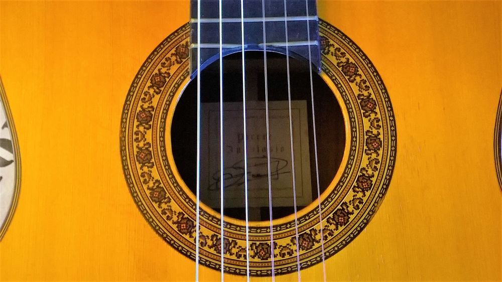 Guitare Pierre Anastasio 4/4 Classique Nylon Instruments de musique