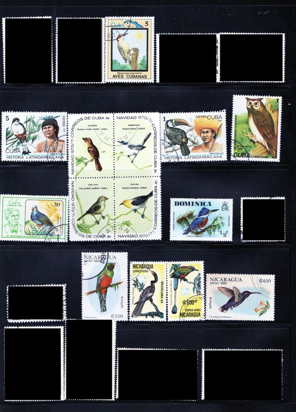 lot de 32 timbres d'AMERIQUE et d'OCEANIE avec des OISEAUX 