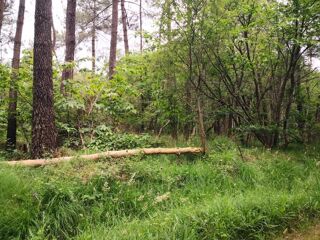  Terrain � vendre 3450 m�