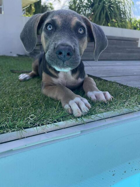 Mila pour une vie de mille amours 300 62200 Boulogne-sur-mer