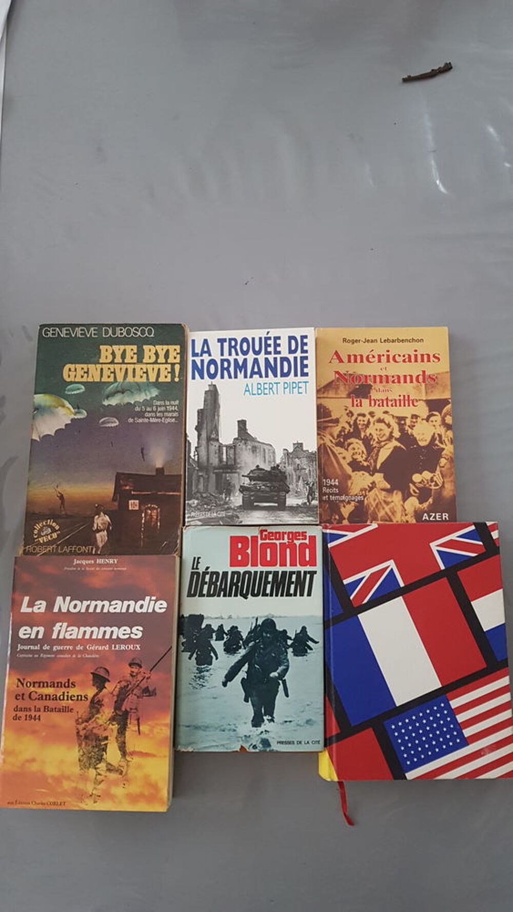 LIVRES SUR LE D&Eacute;BARQUEMENT ww2 Livres et BD