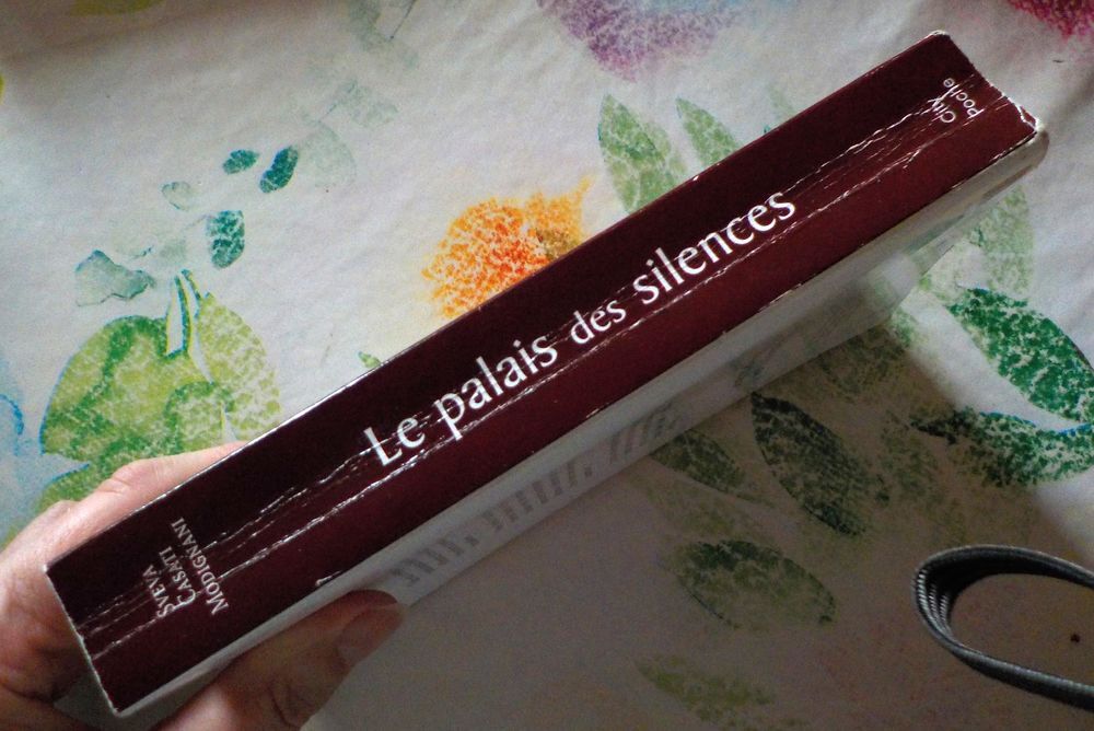 LE PALAIS DES SILENCES de Sveva CASATI MODIGNANI City Poche Livres et BD