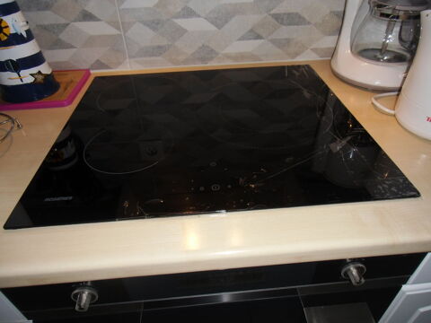 plaque induction 30 Le Rheu (35)