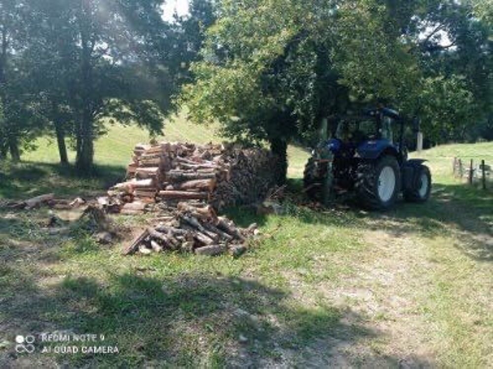 bois de chauffage Jardin
