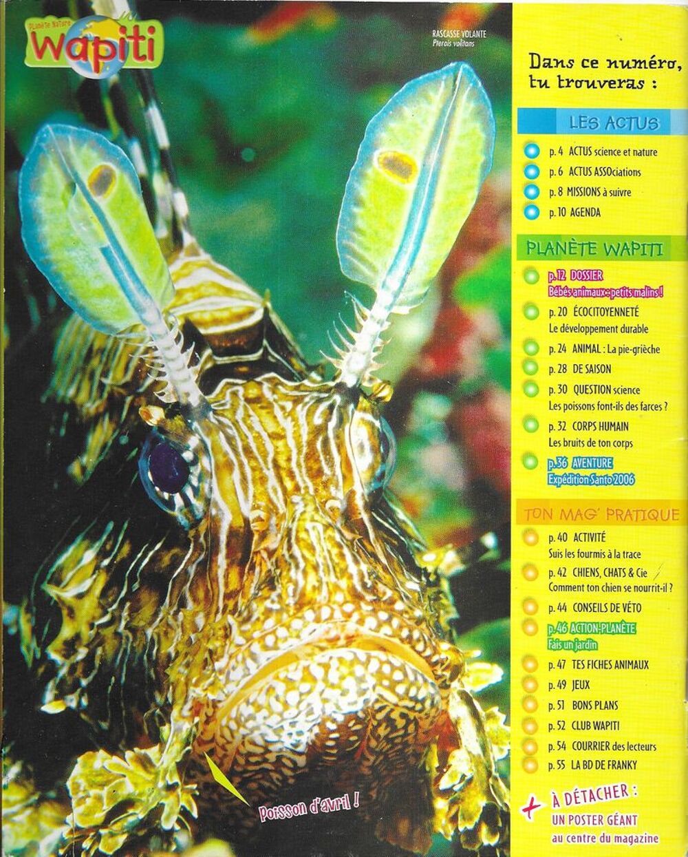 Wapiti , Magazine de 7 &agrave; 13 ans Livres et BD