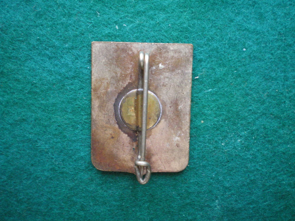 Insigne colonial - R.M.L.E. L&eacute;gion Etrang&egrave;re en E.O. 