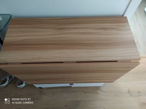 Table
Pliable
Idéale petit espace 50 Couëron (44)