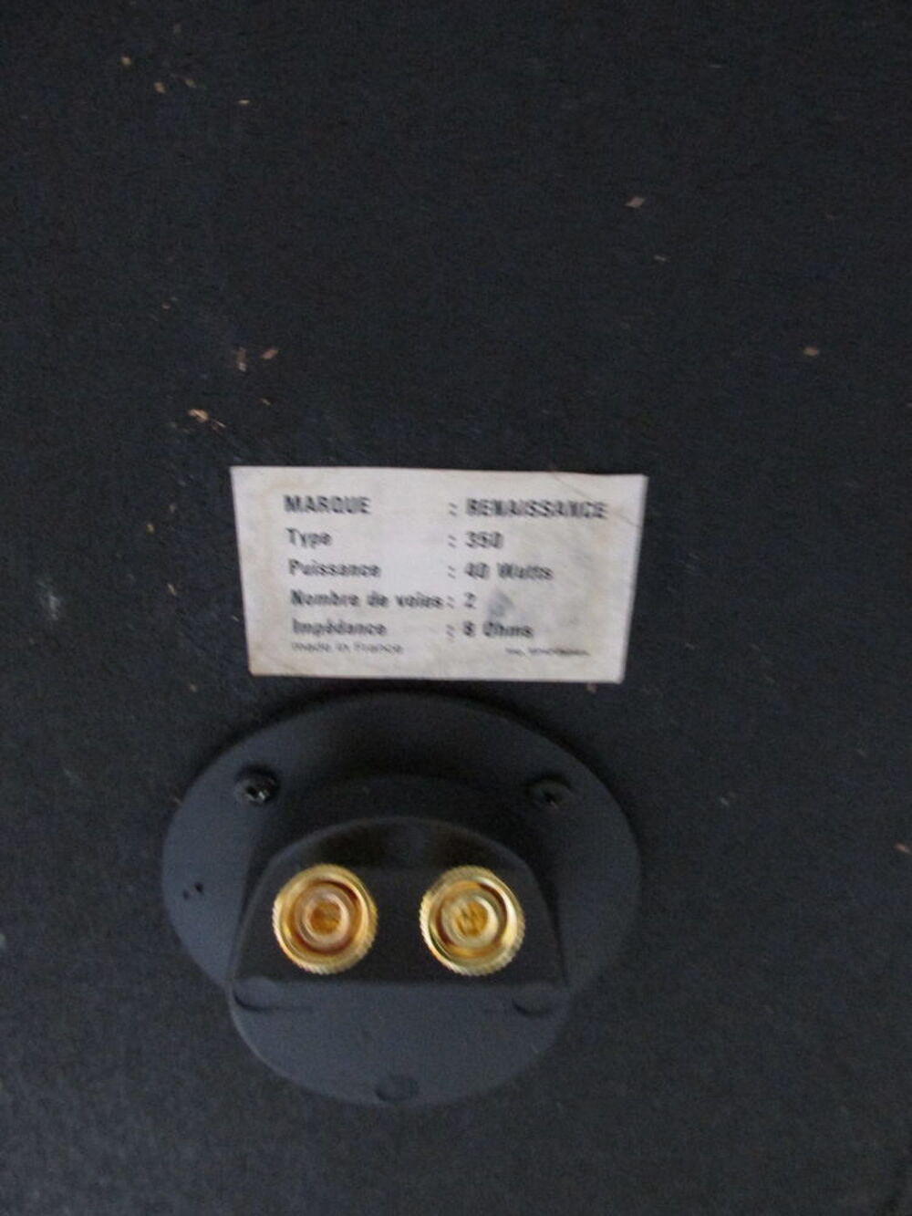 Enceintes RENAISSANCE Type 350 Audio et hifi
