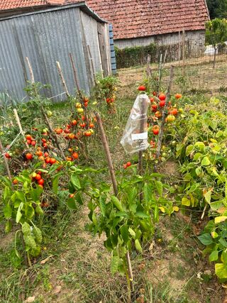  Terrain � vendre 1075 m�